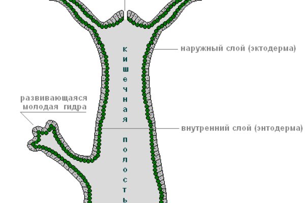 Кракен сайт kr2web in зарегистрироваться